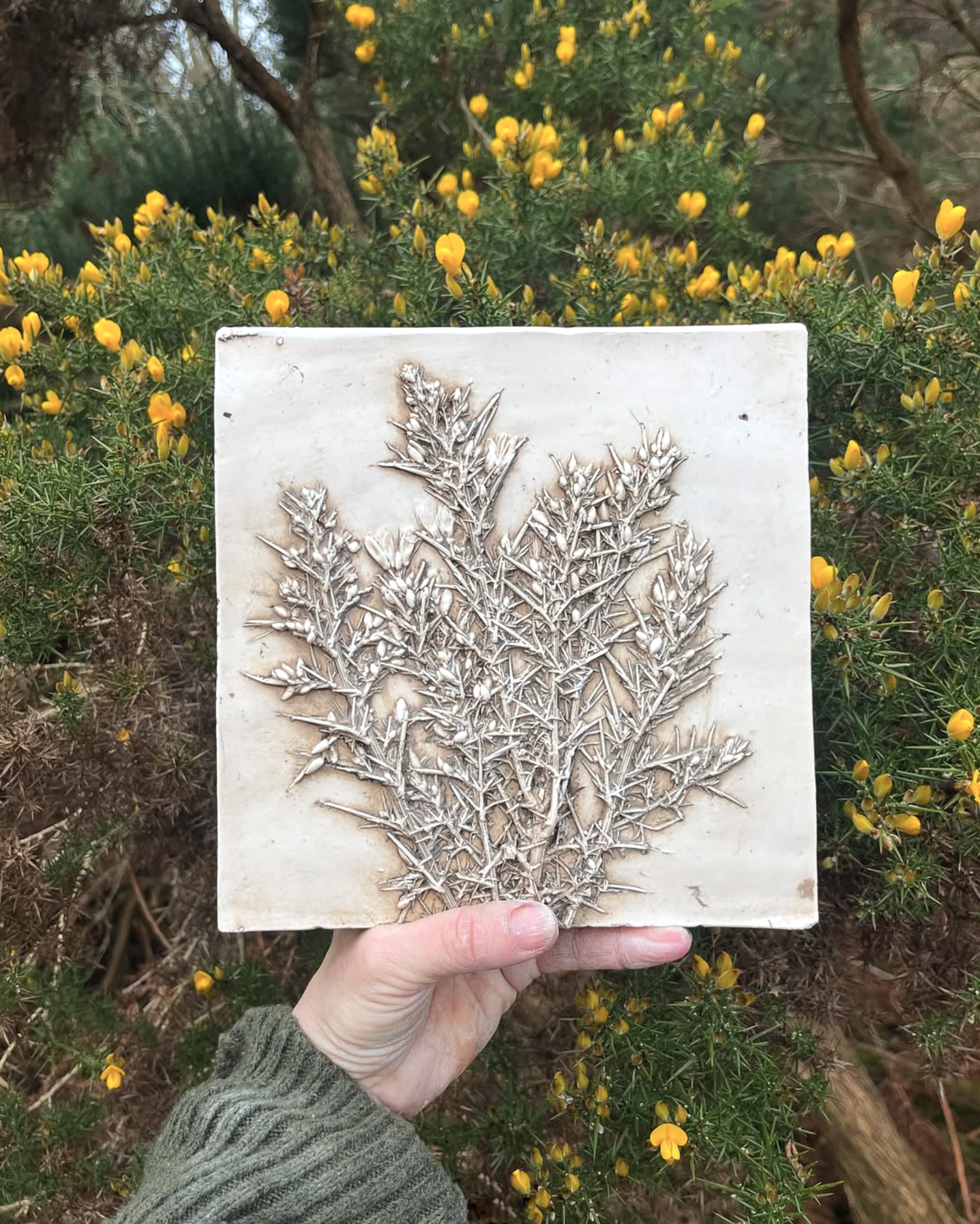 Botanical plaster cast by Katy Eccles of Imprint Casts as one of her collaborative Grand Tour exchanges