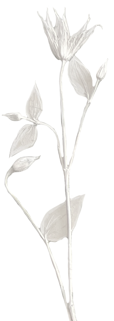 Detail of a botanical cast by Katy Eccles of Imprint Casts