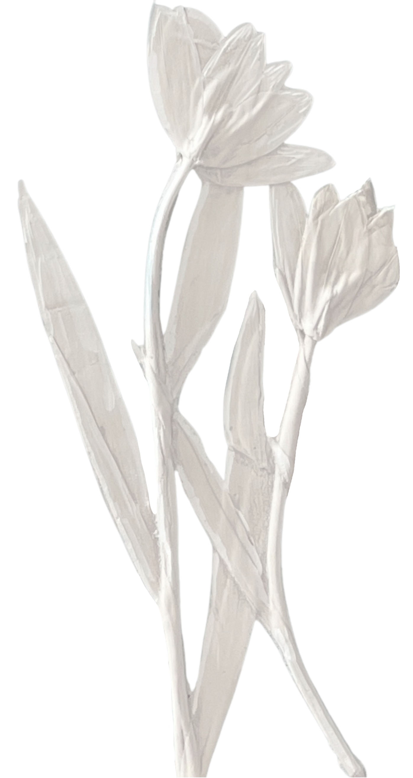 Detail of a botanical cast by Katy Eccles of Imprint Casts