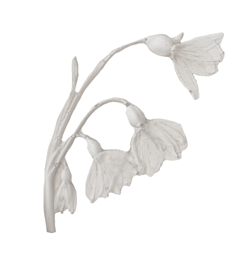 Detail of a botanical cast by Katy Eccles of Imprint Casts
