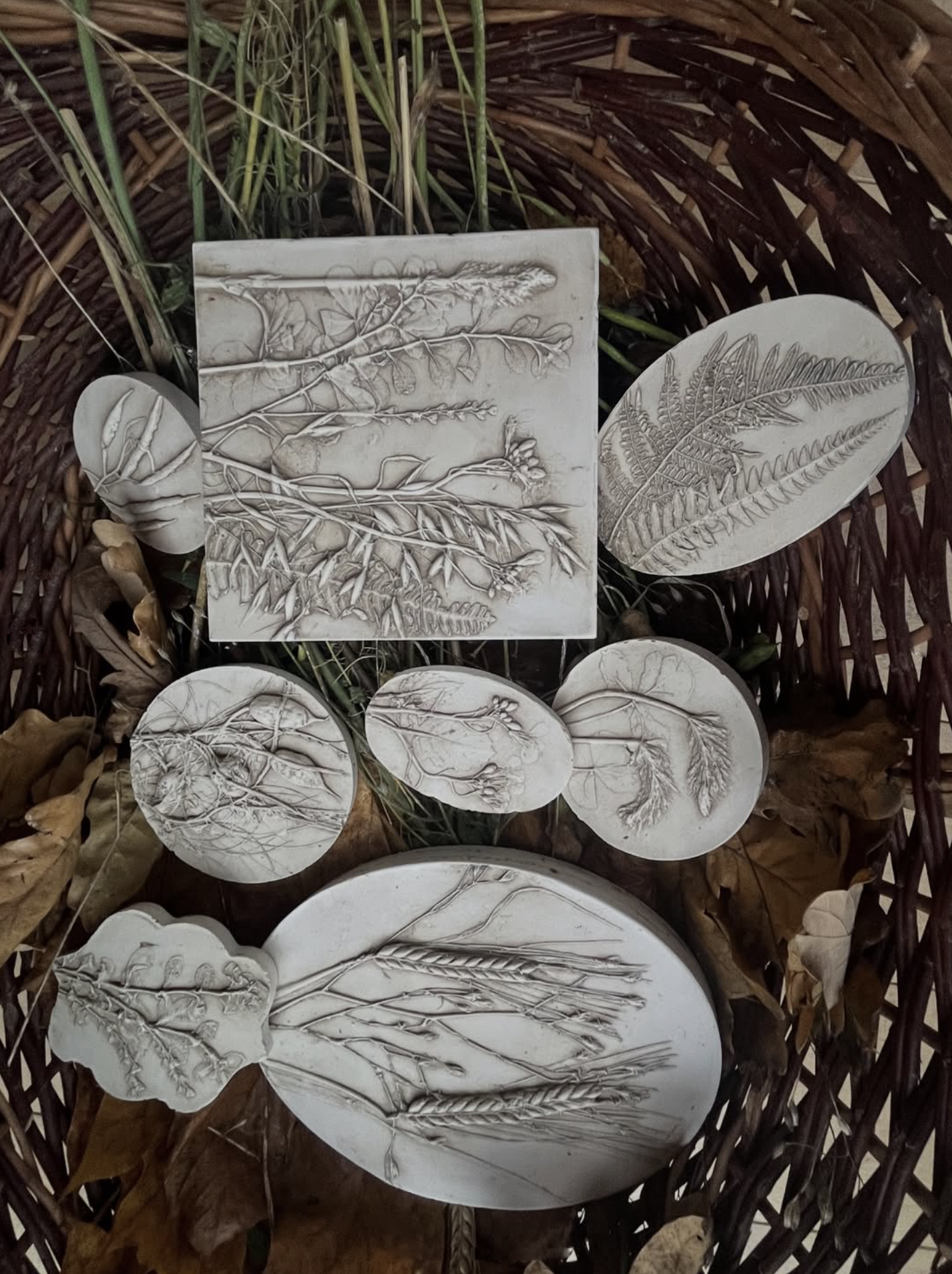 Botanical plaster casts by Katy Eccles of Imprint Casts as one of her collaborative Grand Tour exchanges