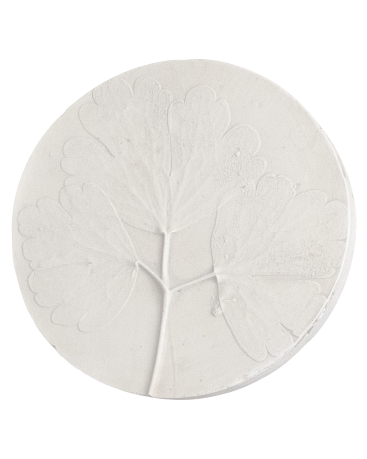 Intaglio plaster cast from Katy's Botanical Grand Tour