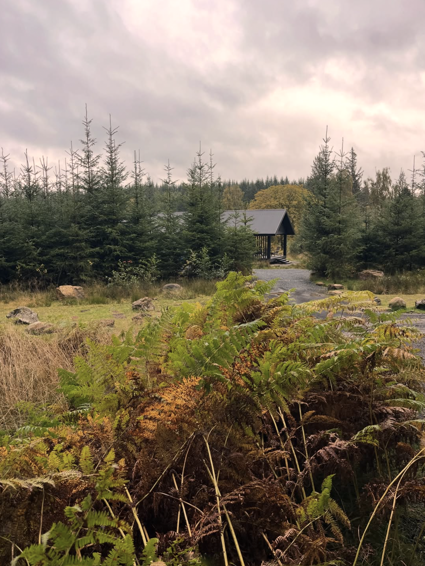 The beautiful countryside setting of one of the cabins Katy Eccles of Imprint Casts stayed in as part of her Botanical Grand Tour