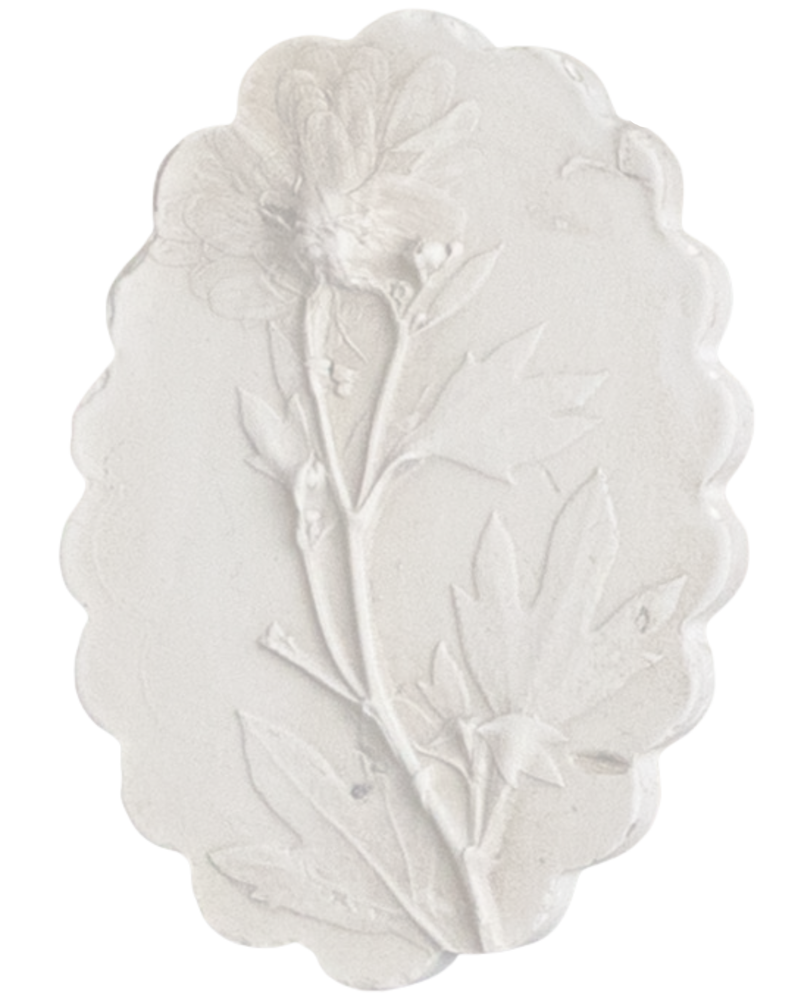 Intaglio plaster cast from Katy's Botanical Grand Tour