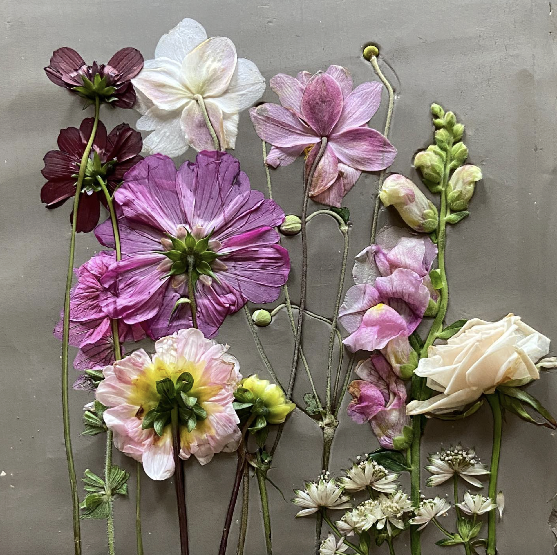 Flowers being pressed into clay to create a plaster cast for a bespoke commission by Imprint Casts
