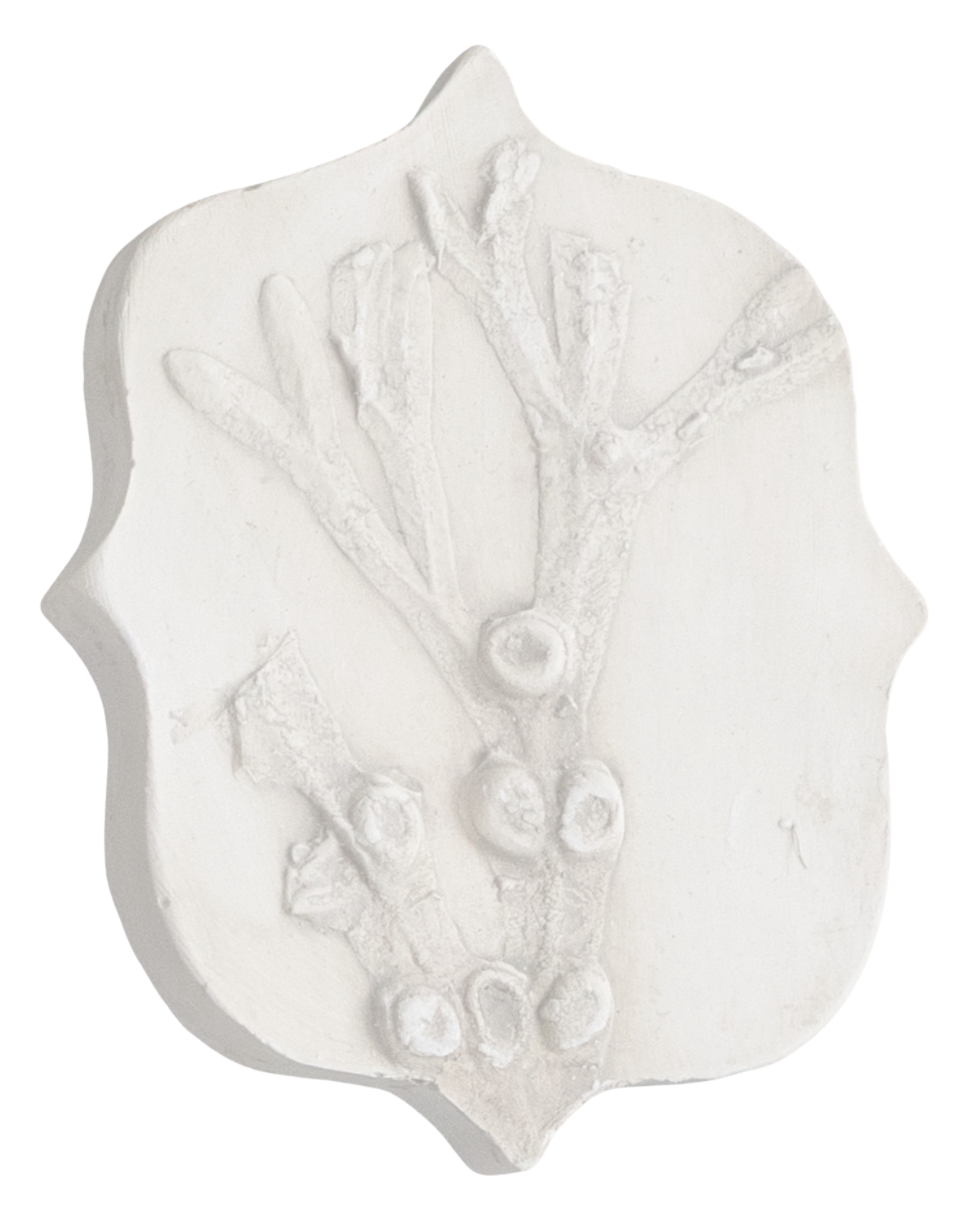 Intaglio plaster cast from Katy's Botanical Grand Tour