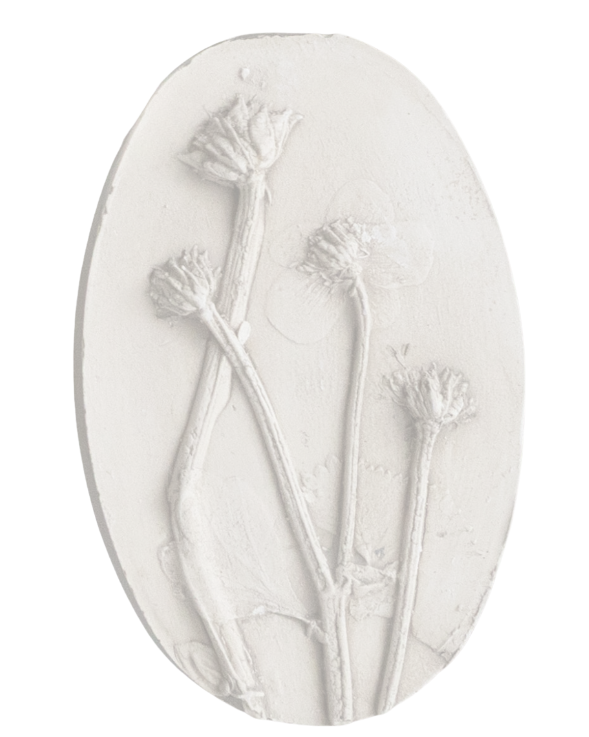 Intaglio plaster cast from Katy's Botanical Grand Tour