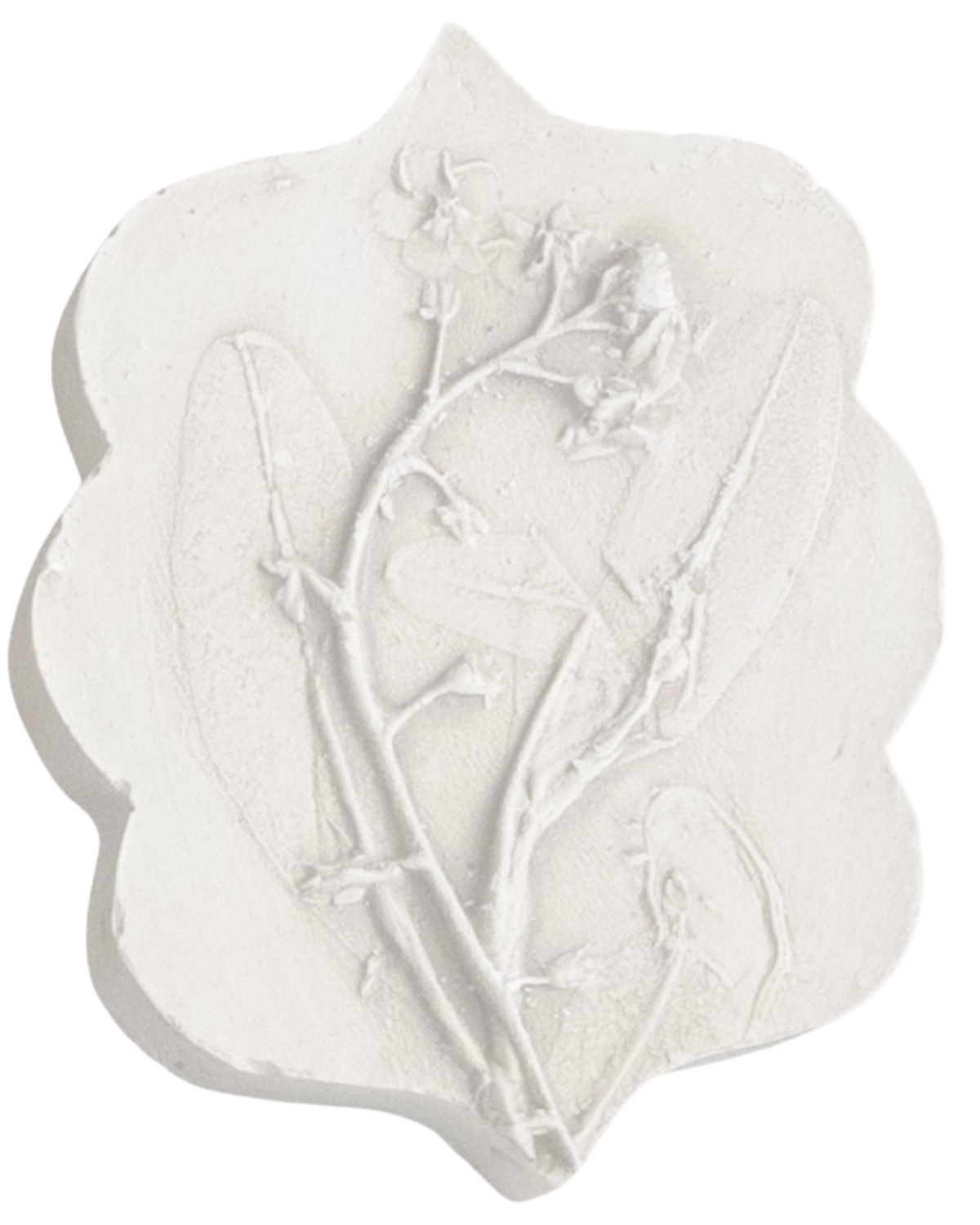 Intaglio plaster cast from Katy's Botanical Grand Tour