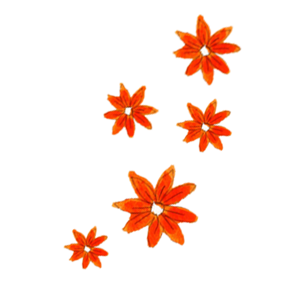 Illustration of multiple orange flowers with white centers and green leaves on a black background.