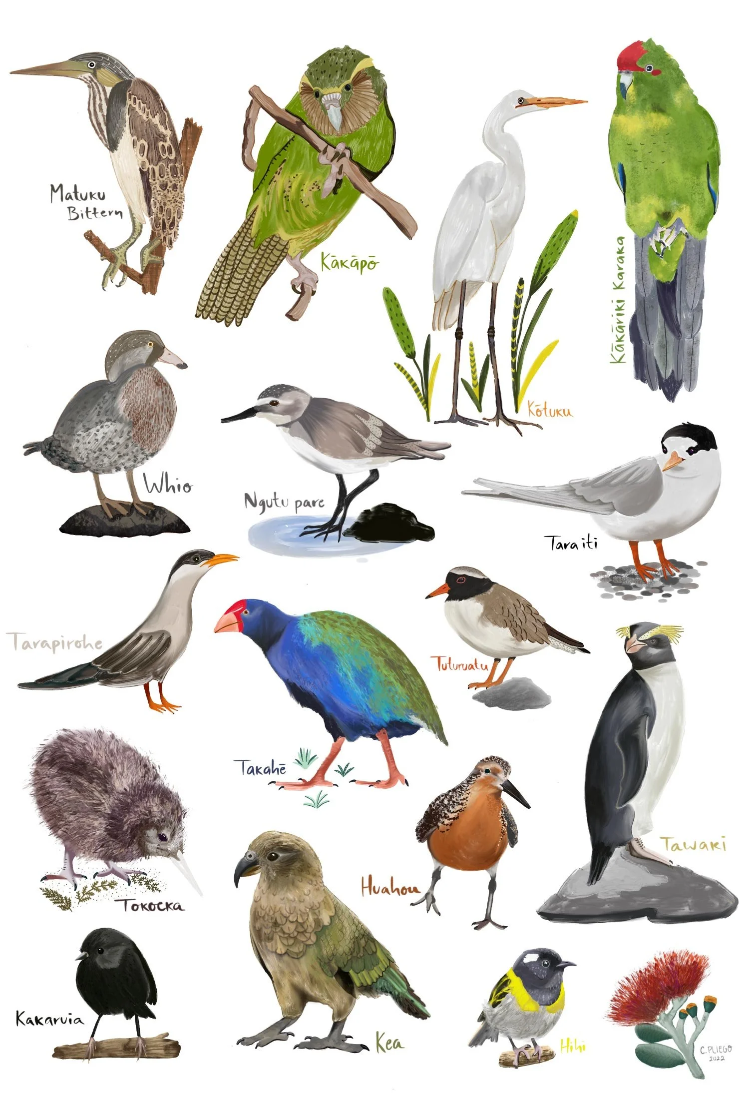 Nz Birds - Digital Colourful Artwork by Cris Pliego