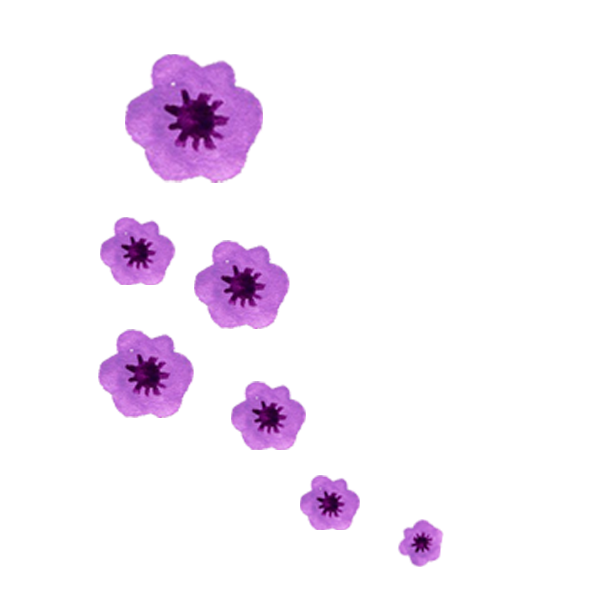 Purple flowers
