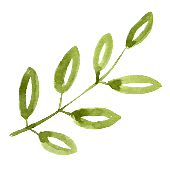 Illustration of a green leafy branch with seven oval-shaped leaves.