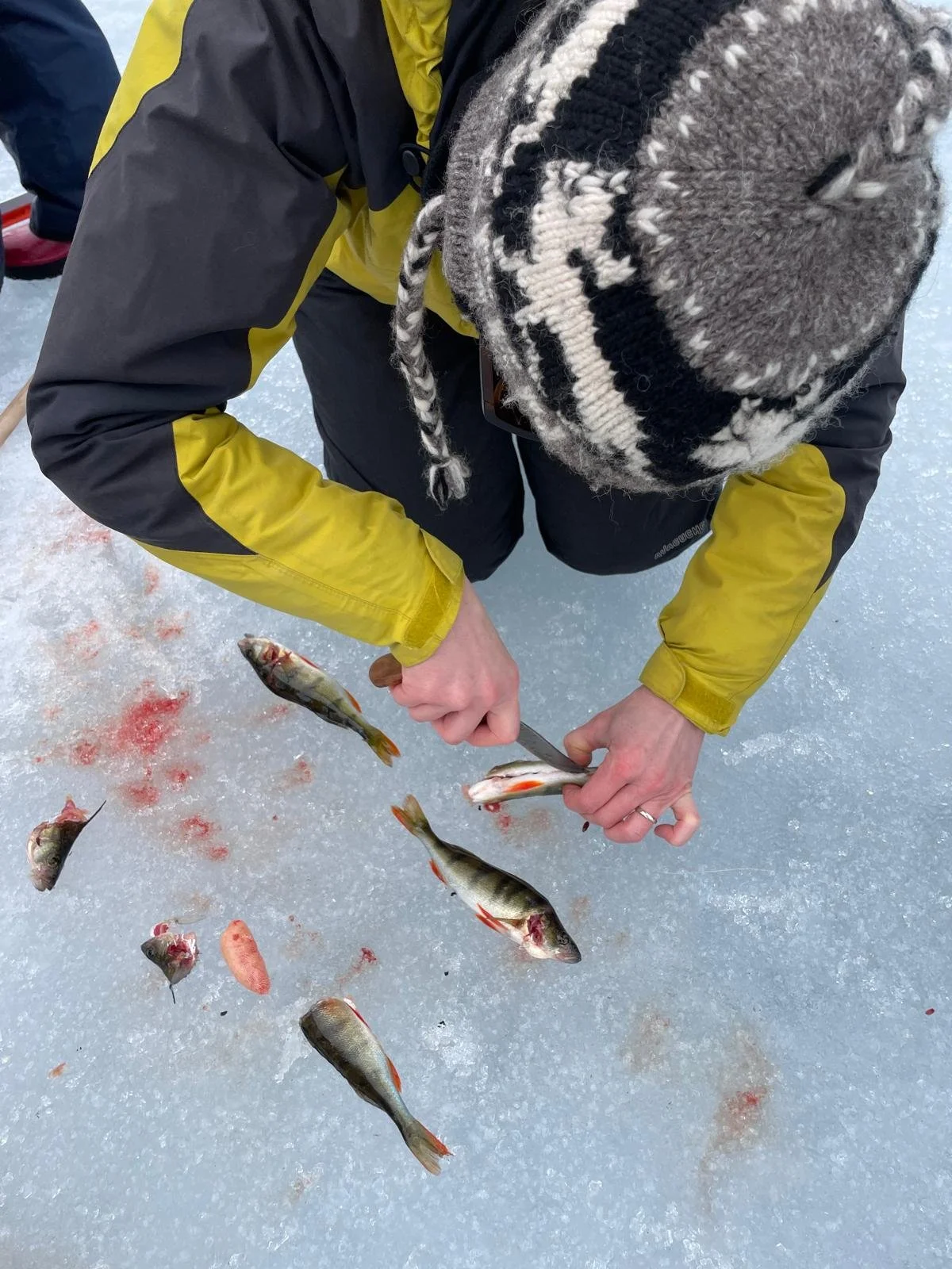 WhatsApp Image 2025-10-28 at 15.10.29.jpeg