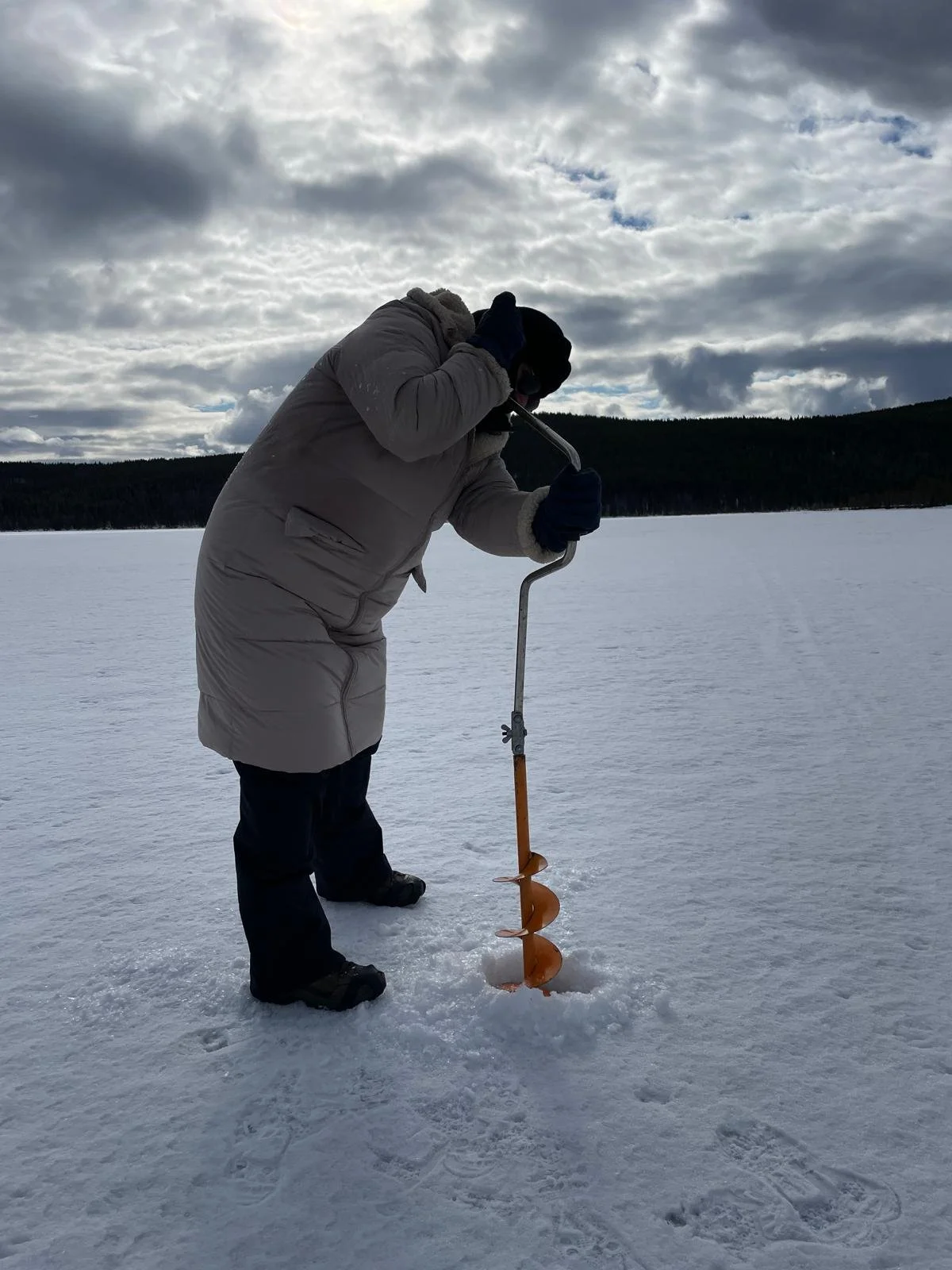 WhatsApp Image 2025-10-27 at 22.01.40 (4).jpeg