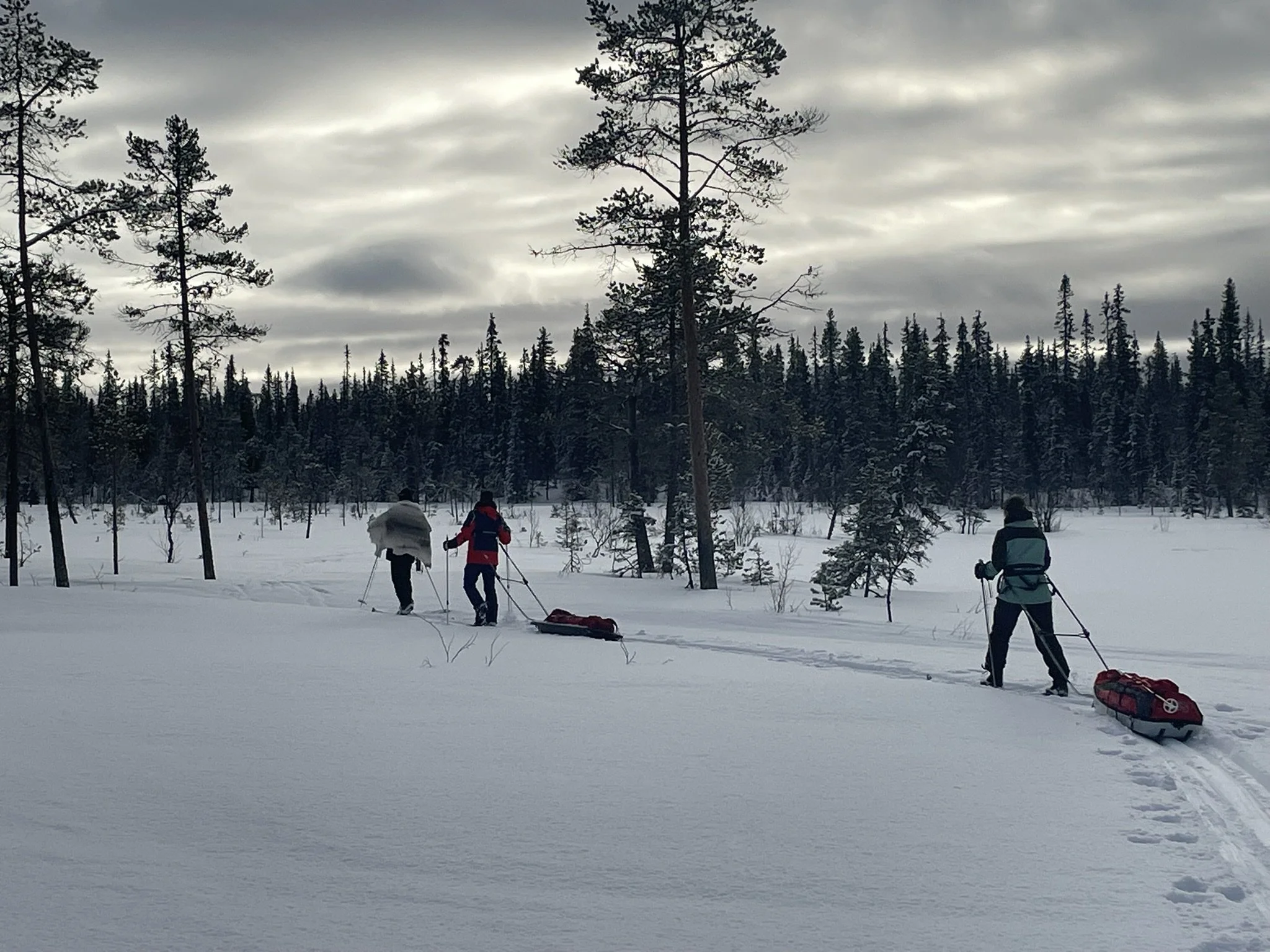 Pulka Expeditie in Fins Lapland