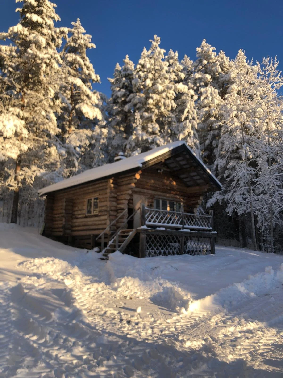 WhatsApp Image 2025-10-28 at 12.50.55.jpeg