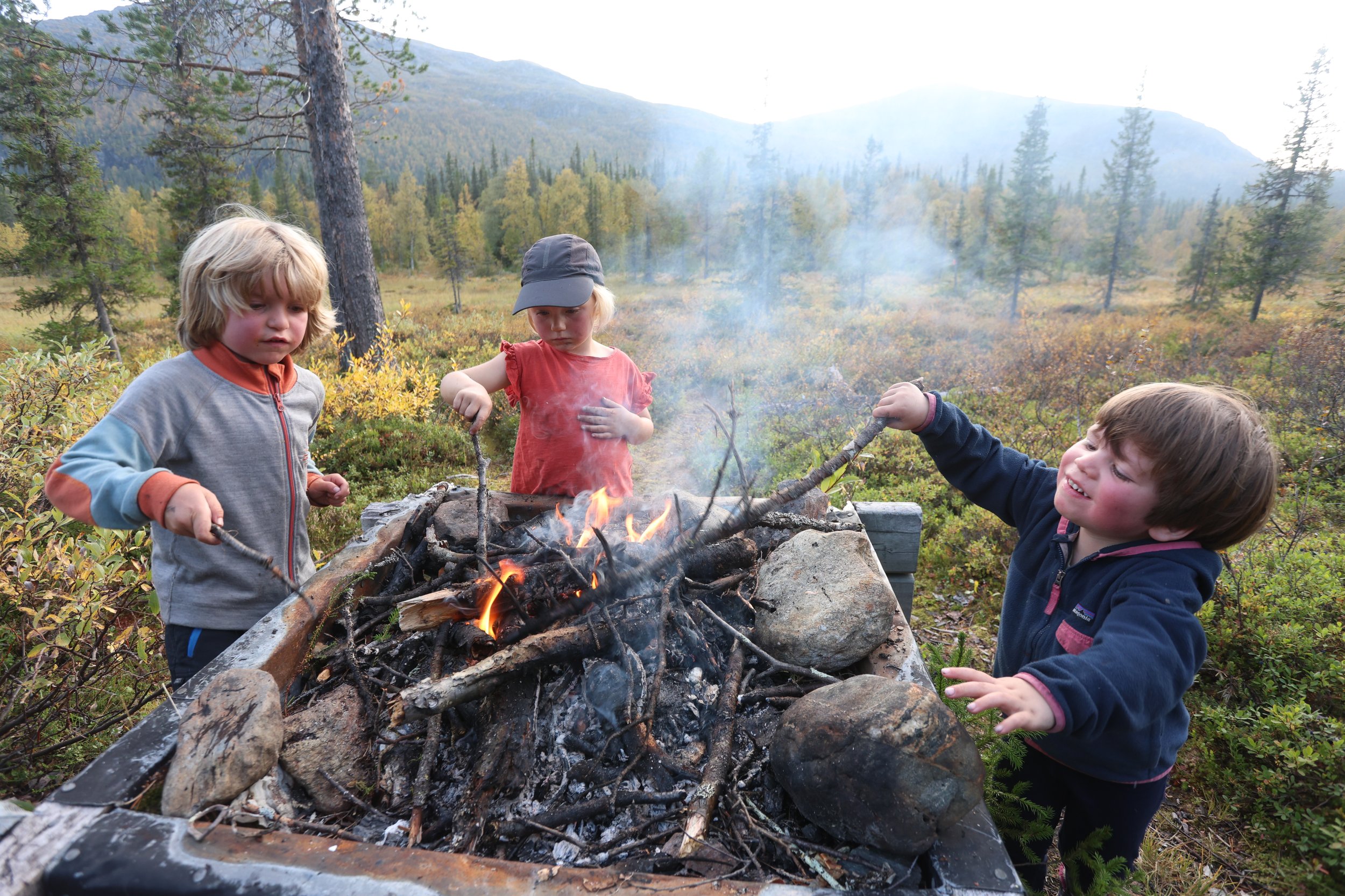 Three children roasting sticks over a campfire in a forested area with mountains in the background.