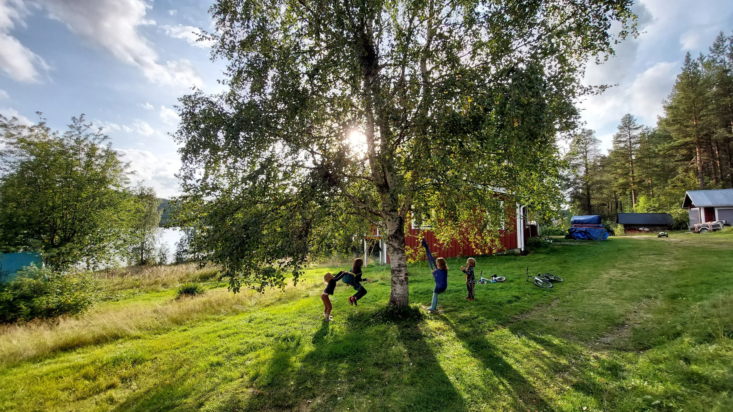 Children playing and swinging under a large tree in a grassy yard with a lake and forest in the background, during late afternoon.