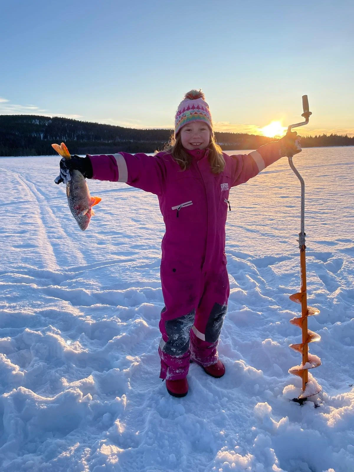 WhatsApp Image 2025-10-27 at 22.05.06.jpeg