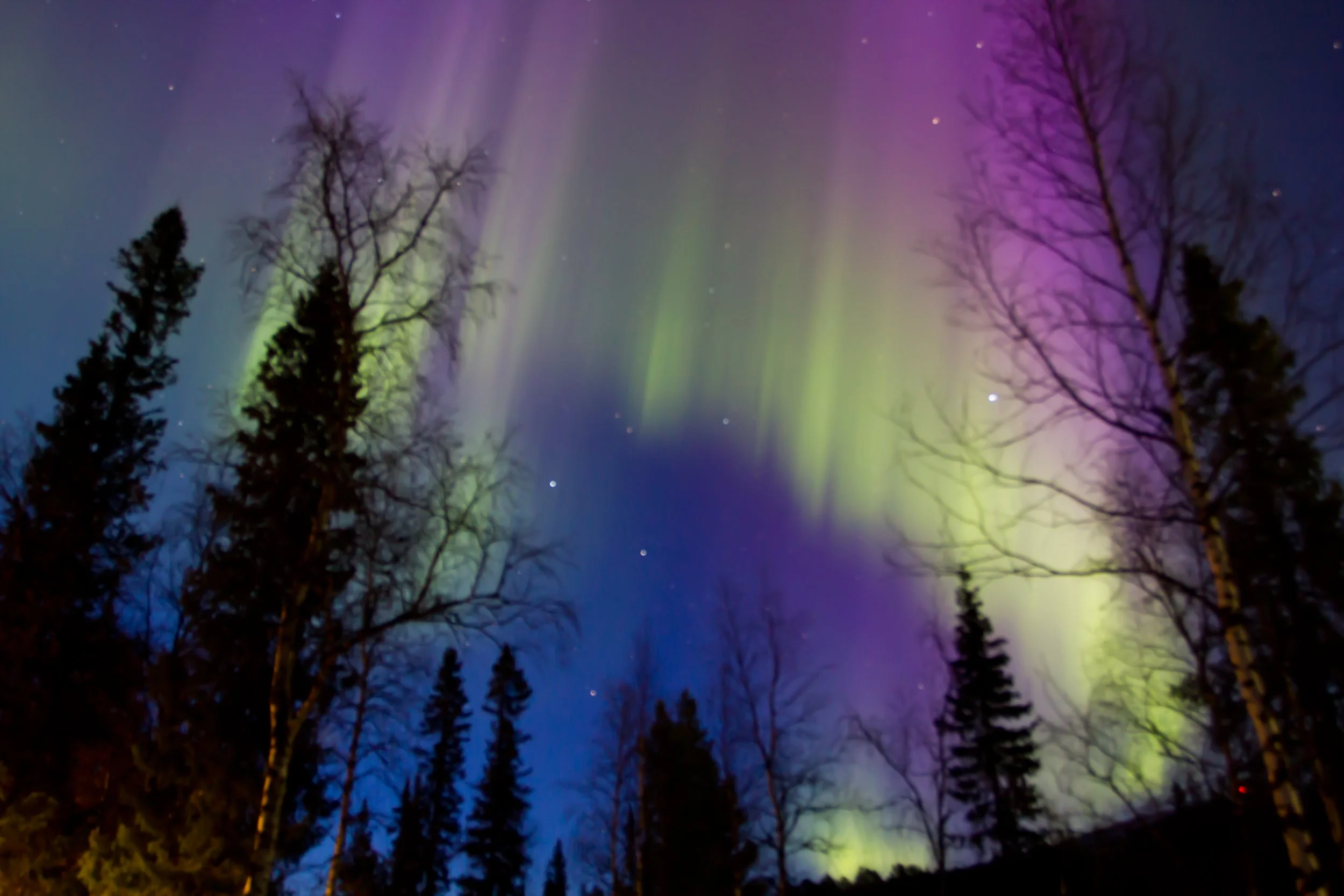 Pulka Expeditie in Fins Lapland