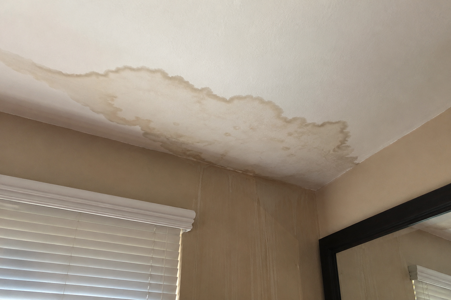 Water stain spreading across a Las Vegas ceiling after a monsoon storm.