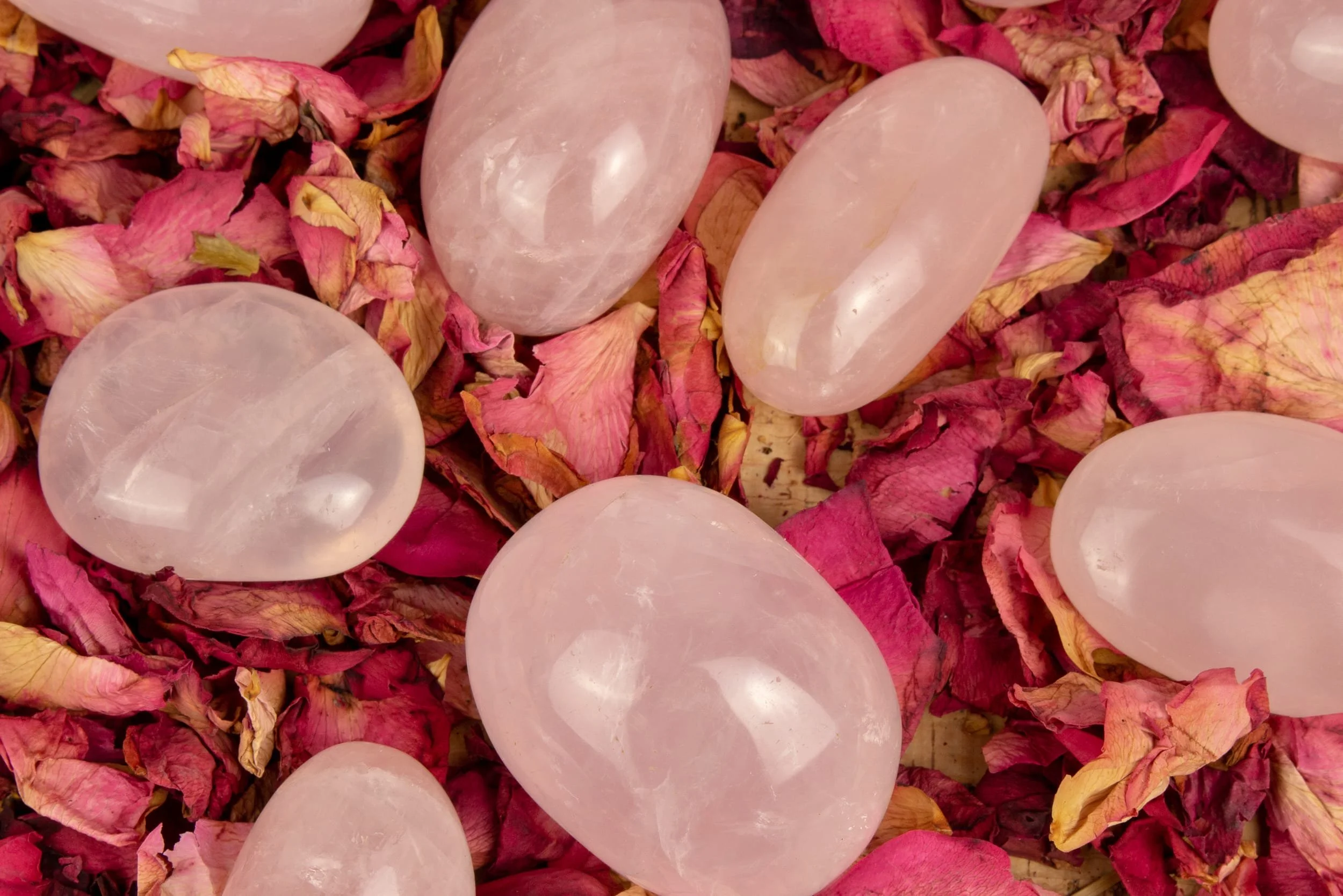 Pink rose quartz stones surrounded by dried pink rose petals