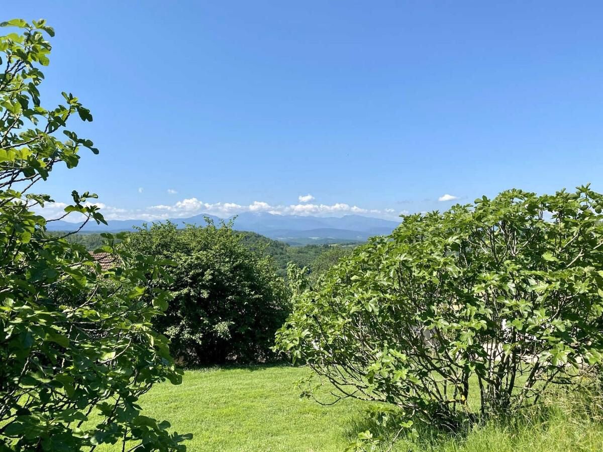 WhatsApp Image 2026-02-04 at 13.43.16.jpeg