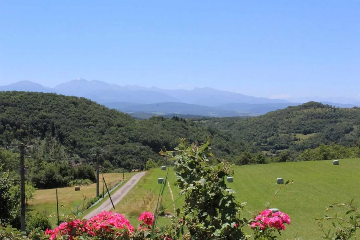 WhatsApp Image 2026-02-04 at 13.43.16 (6).jpeg