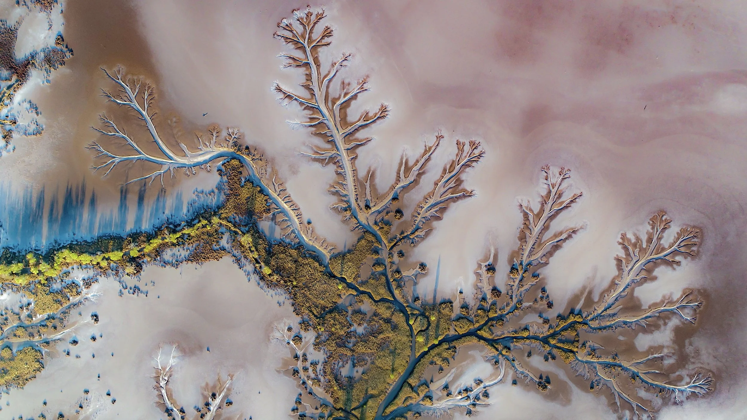 DJI_0112.jpg