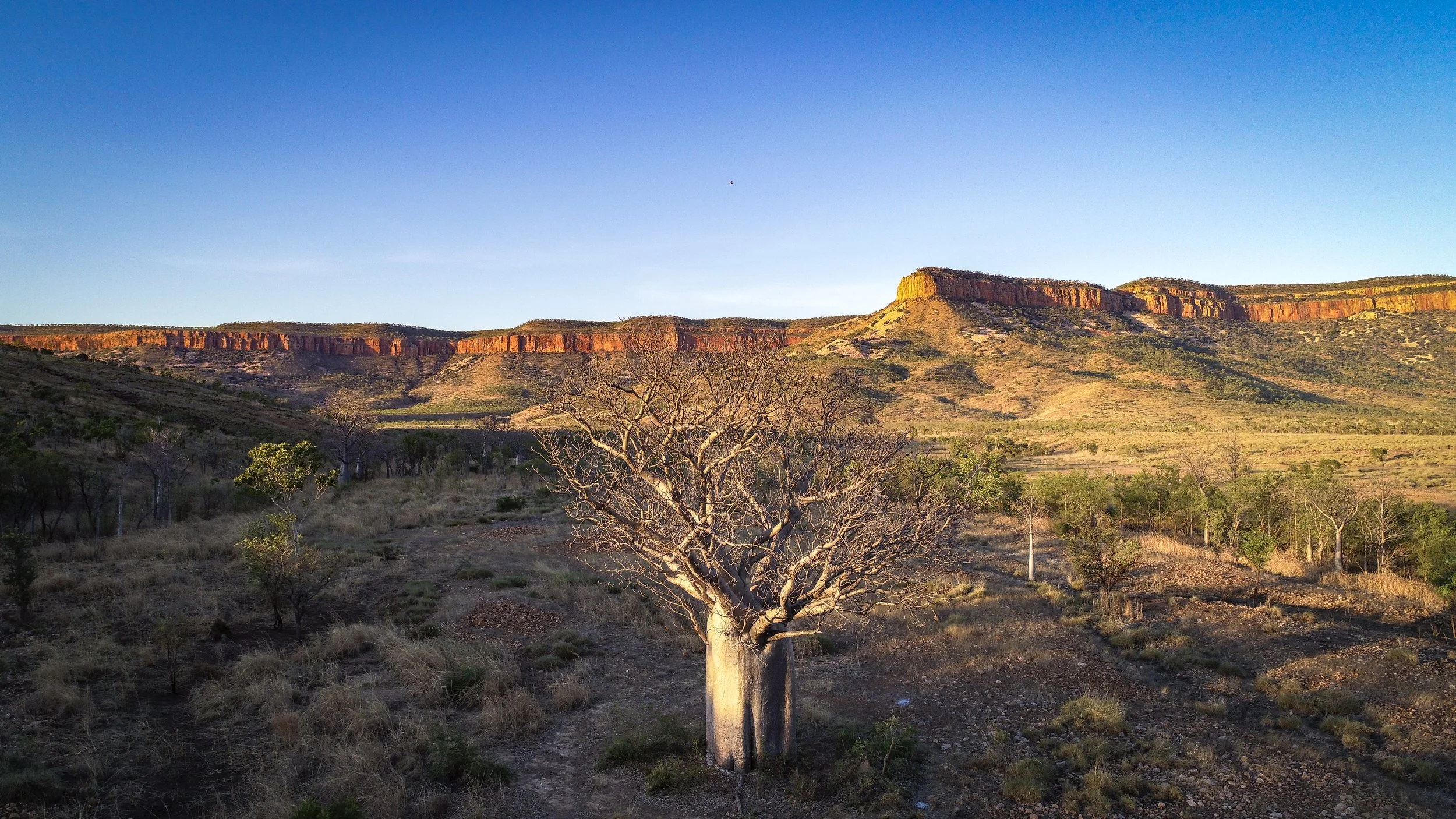 DJI_0049-Enhanced-SR.jpg