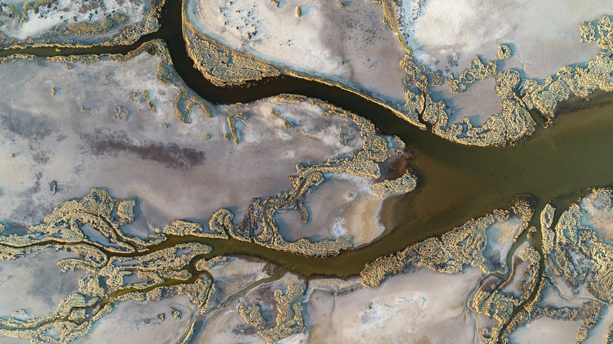 DJI_0042 (1)-Enhanced.jpg