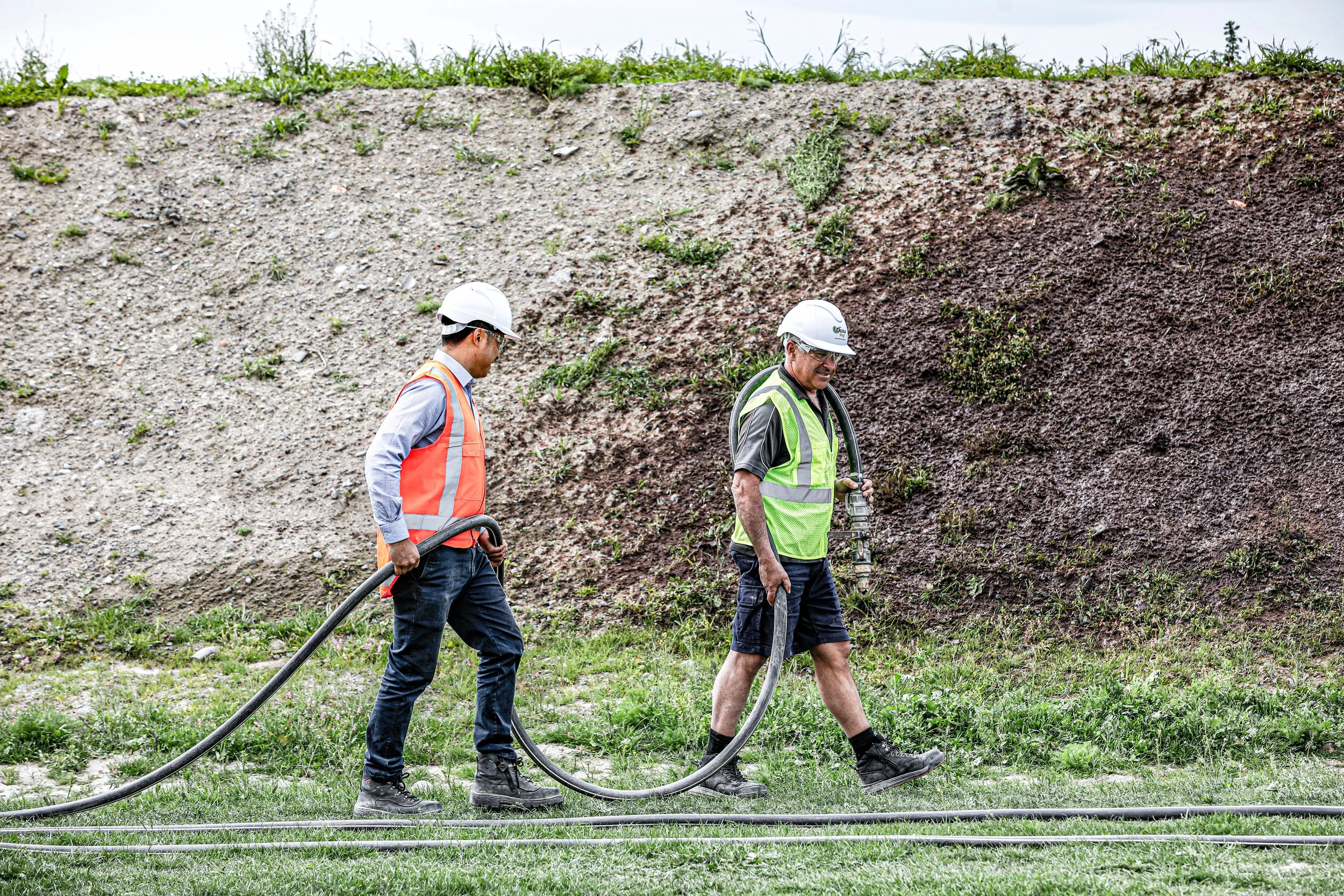 Beautiful grass growing in an mining environment in Western Australia, work by Green Mines Australia