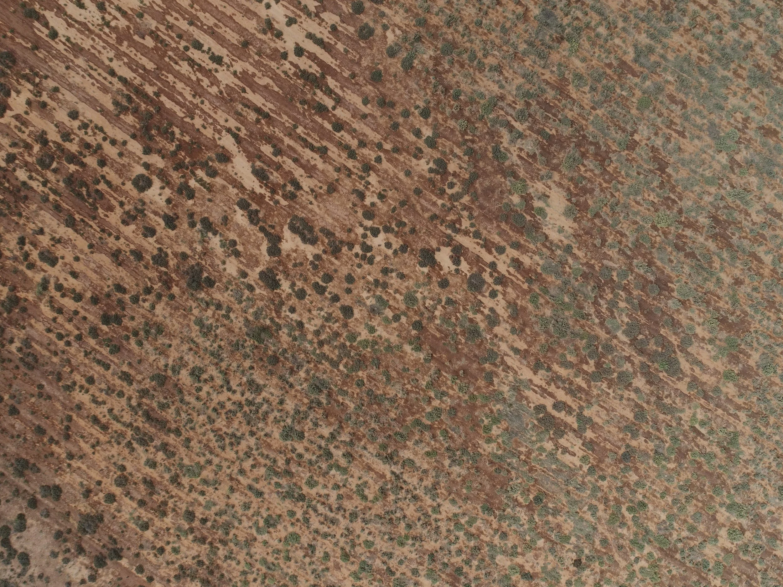 Aerial view of a large mining area, arid landscape with rehabilitation practices taking place