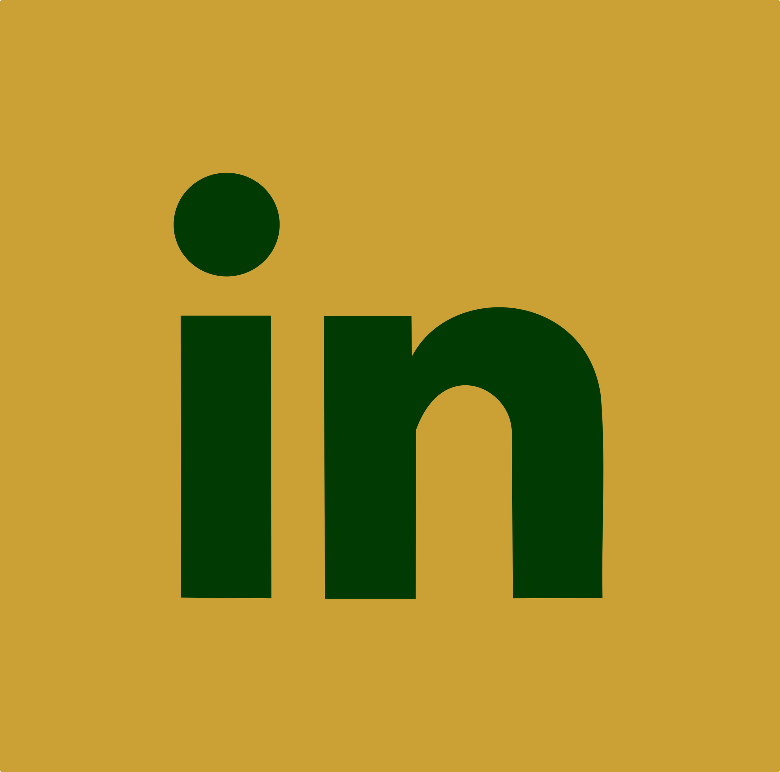 A stylized graphic with large dark green letter 'U' and stylized letter 'A' on a gold background.