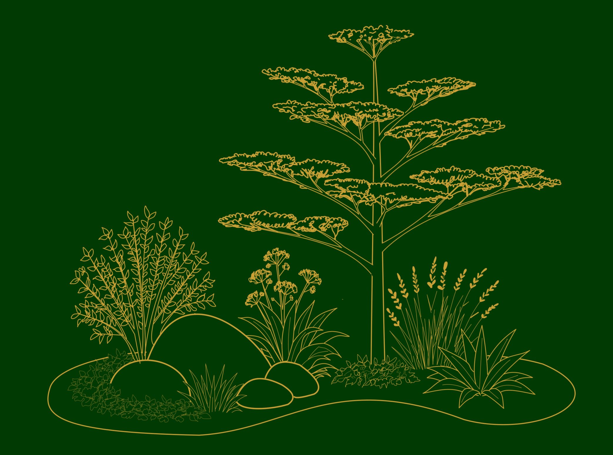 Gold line drawing of various plants and grasses on a dark green background.