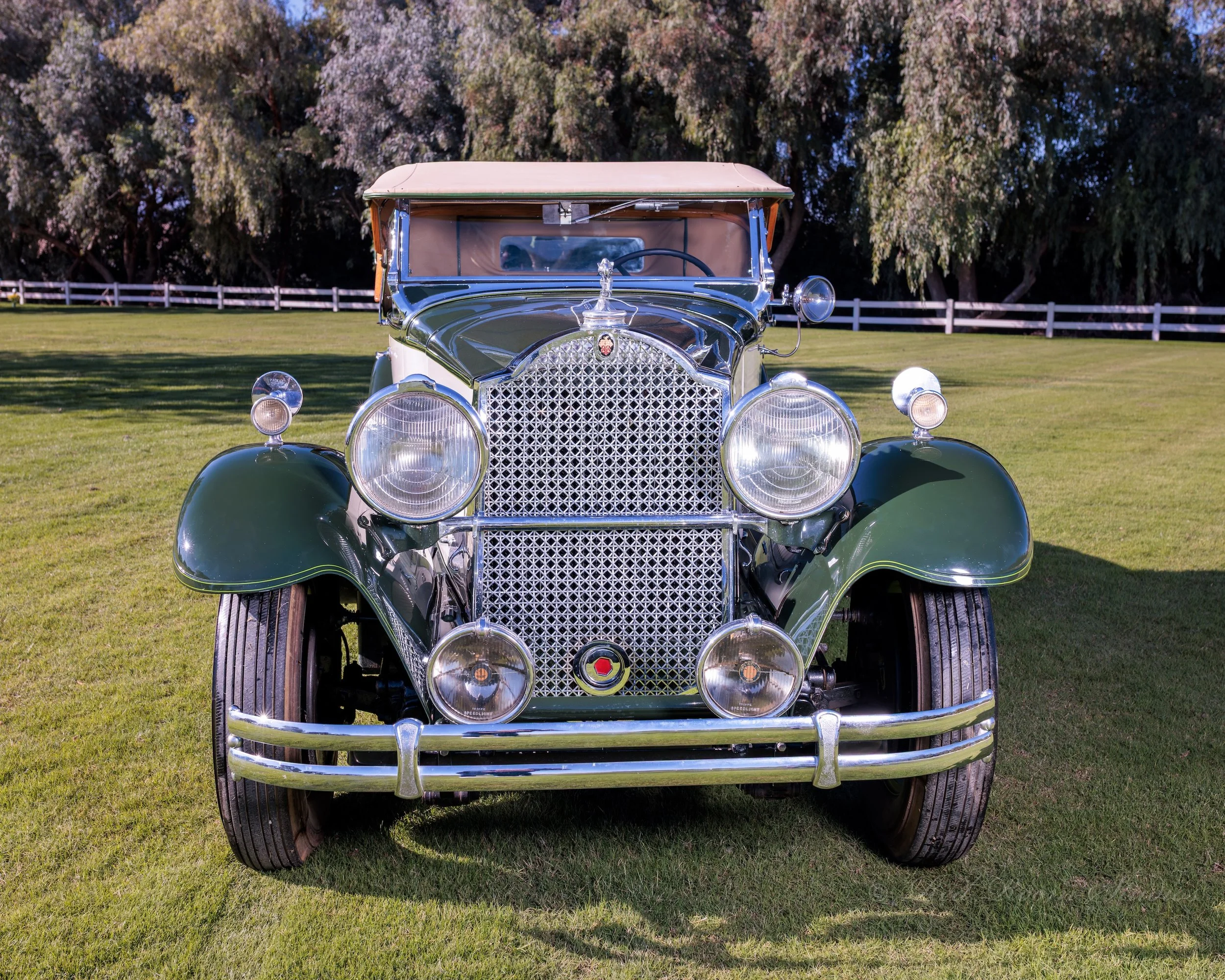 RRS 11-12-25 Classics 228a copy.jpg