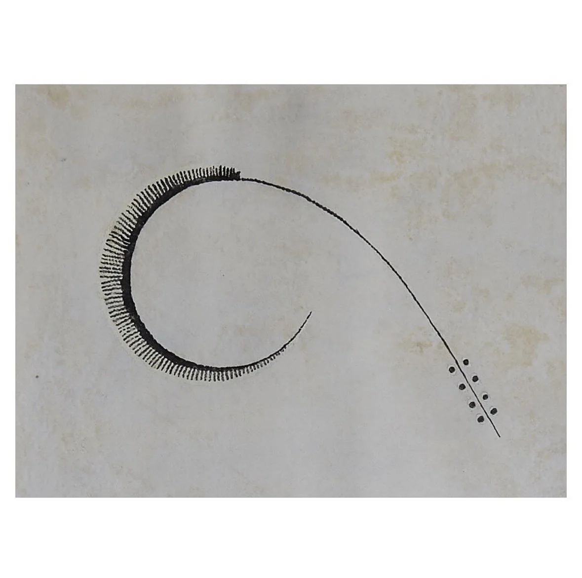 IVAN DA SILVA BRUHNS, DESIGN FOR RUG