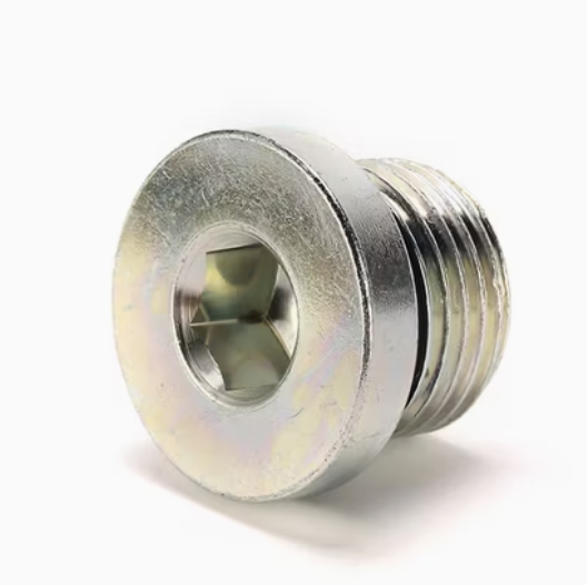 4BN-WD BSP MALE CAPTIVE SEAL HOLLOW HEX PLUG