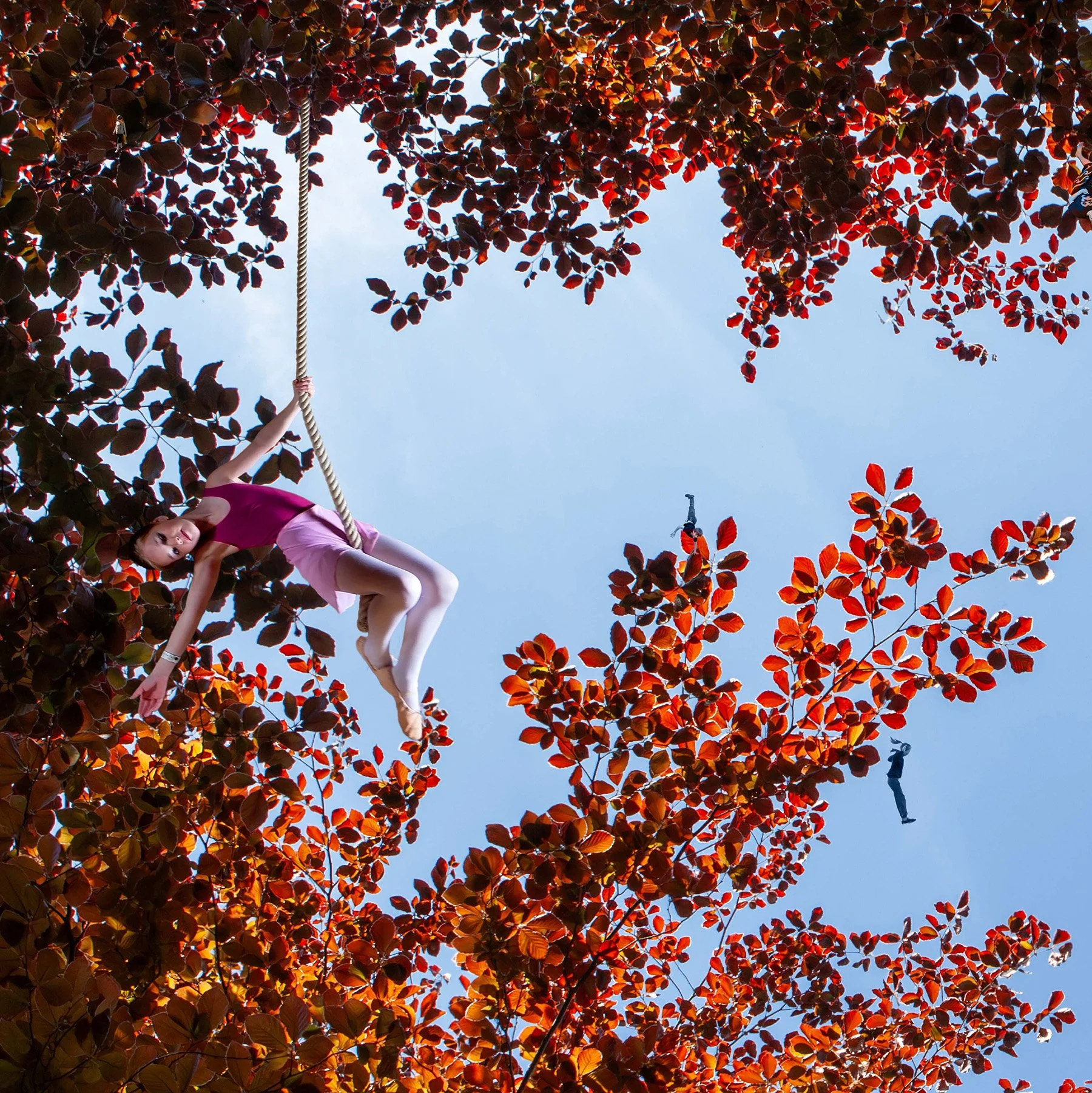 LT Utsnitt 2 kopi.jpg