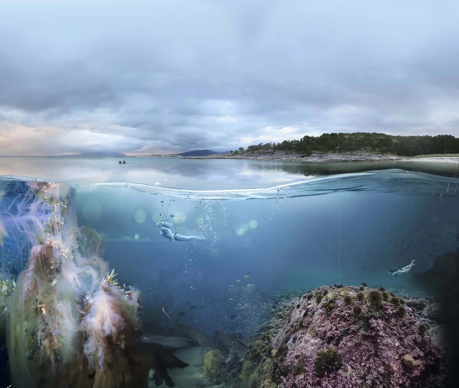 over og under overflaten i Tysfjordenjpg kopi.jpg