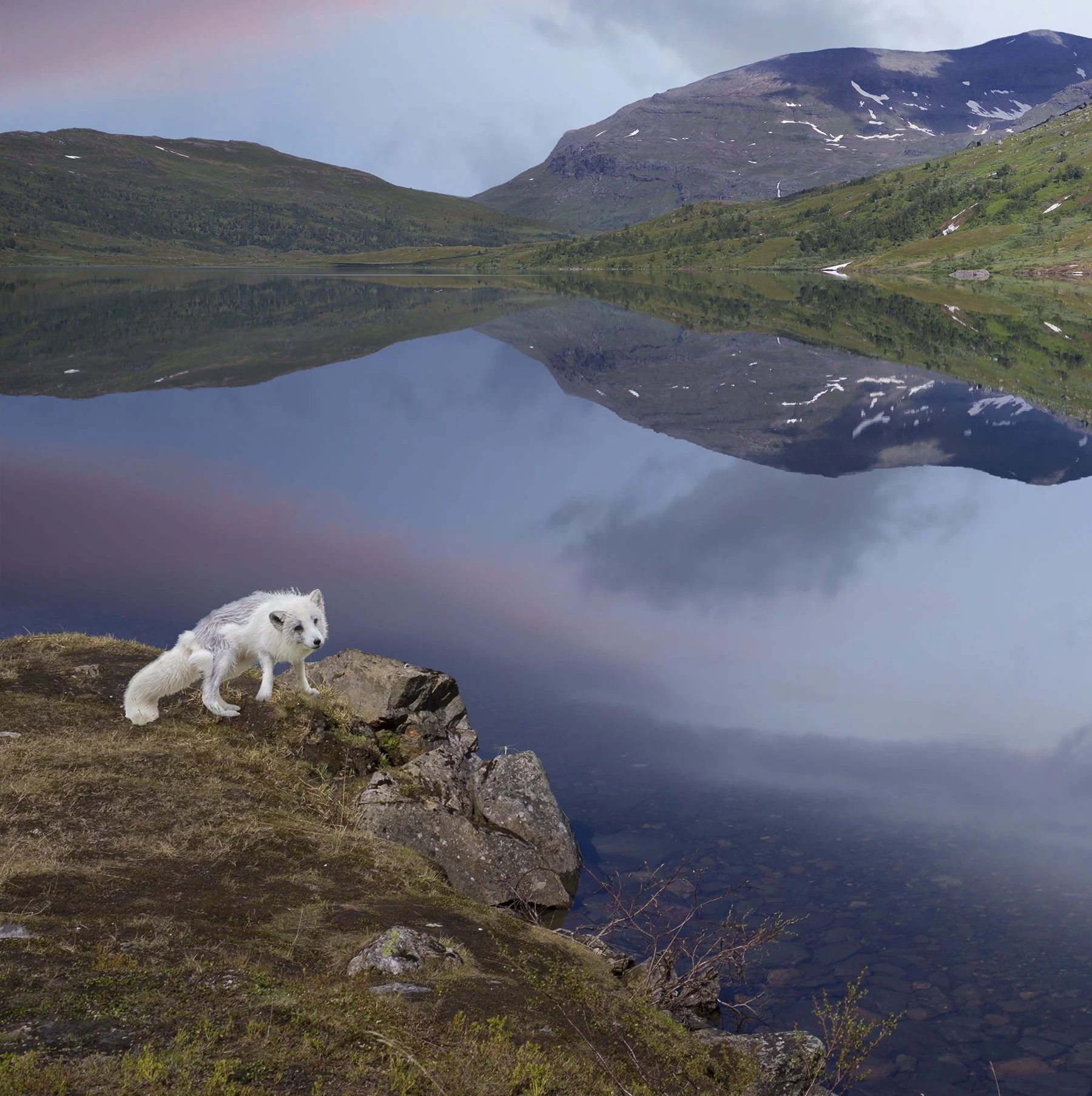 RG Utsnitt1 kopi.jpg