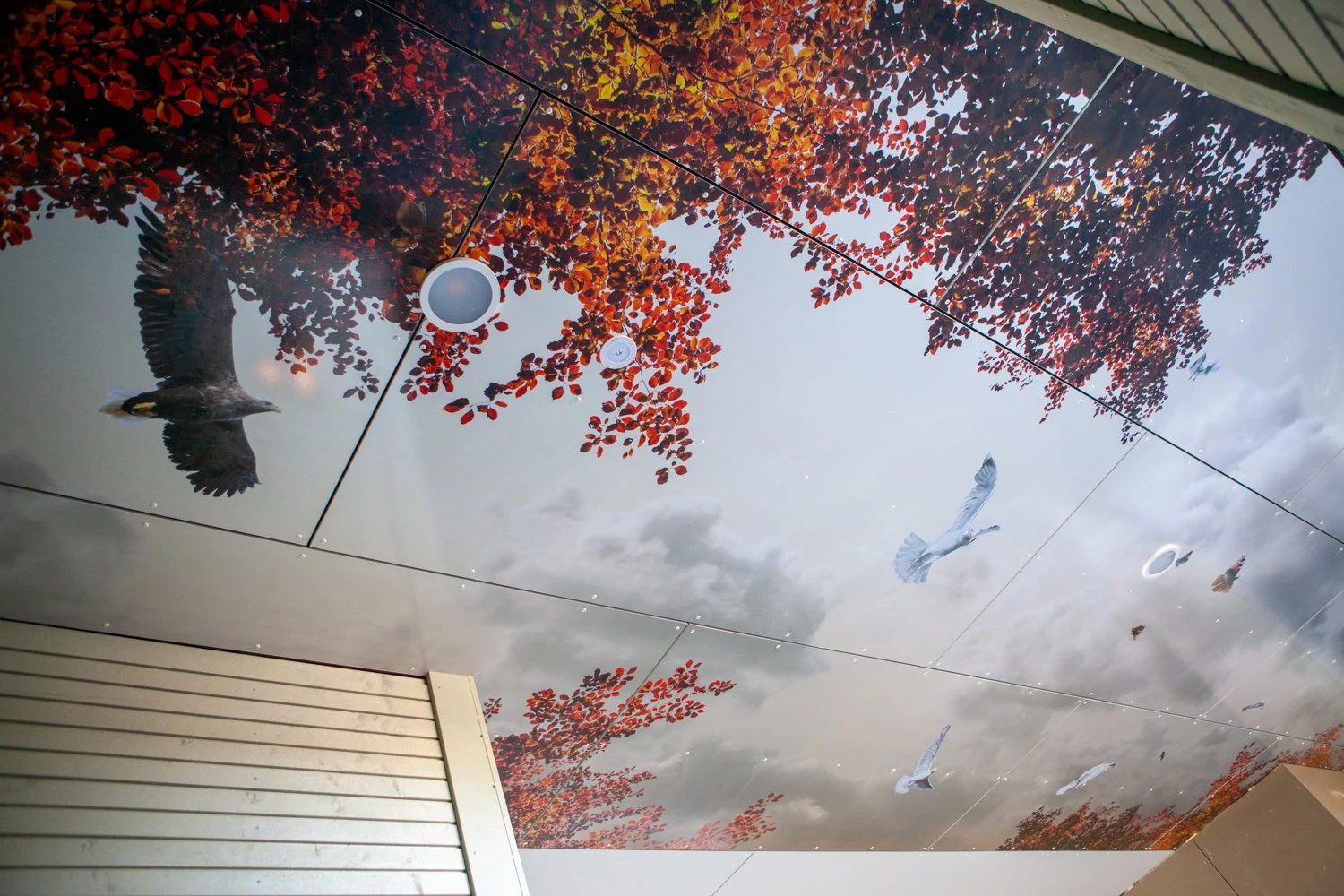 Nedre Gangås senter