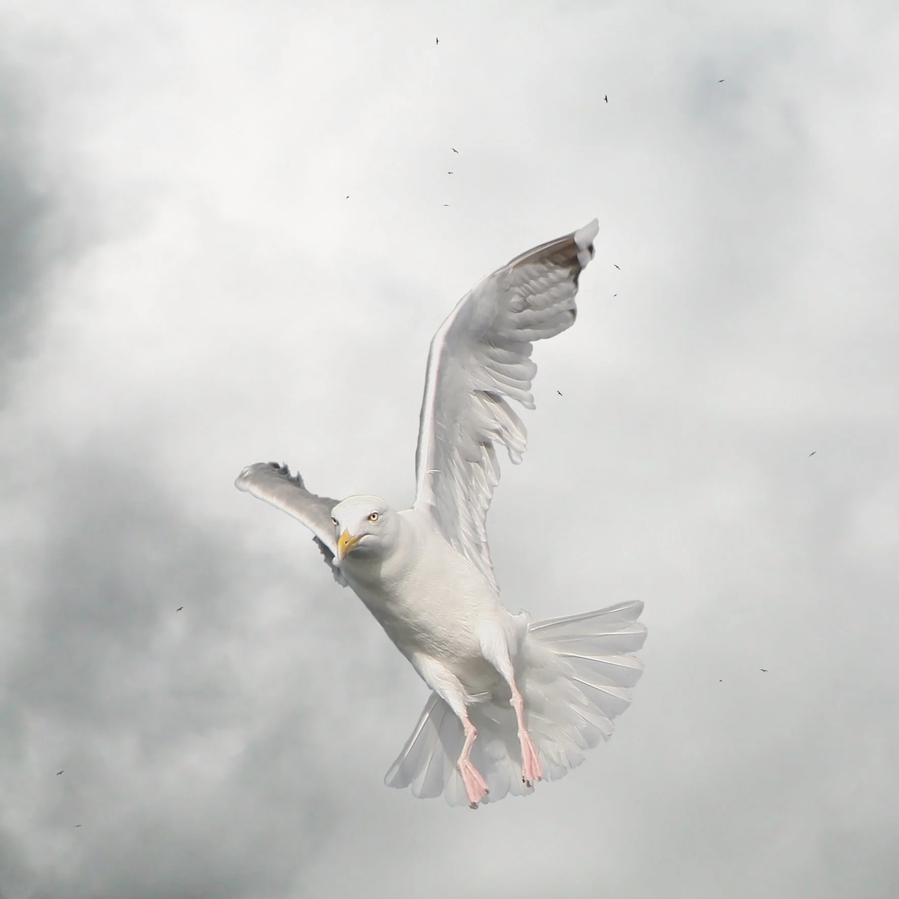 They have sought out many inventions