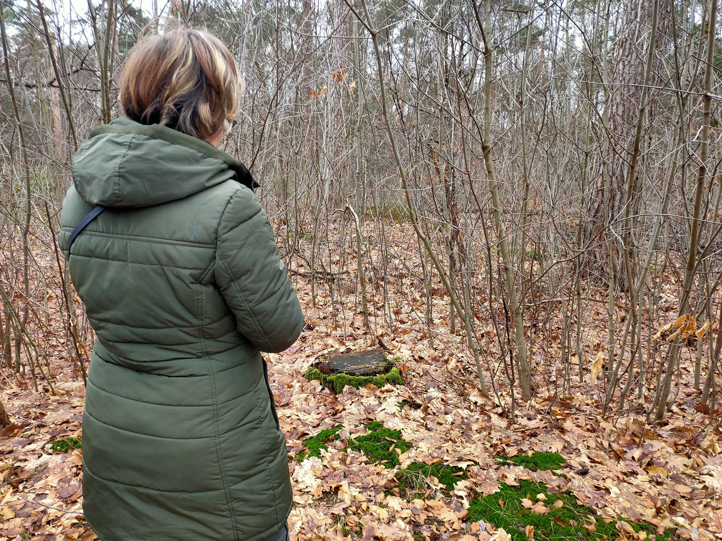 Persoon in een groene jas staat in een bos, met een boomstronk bedekt met mos en groene planten op de voorgrond