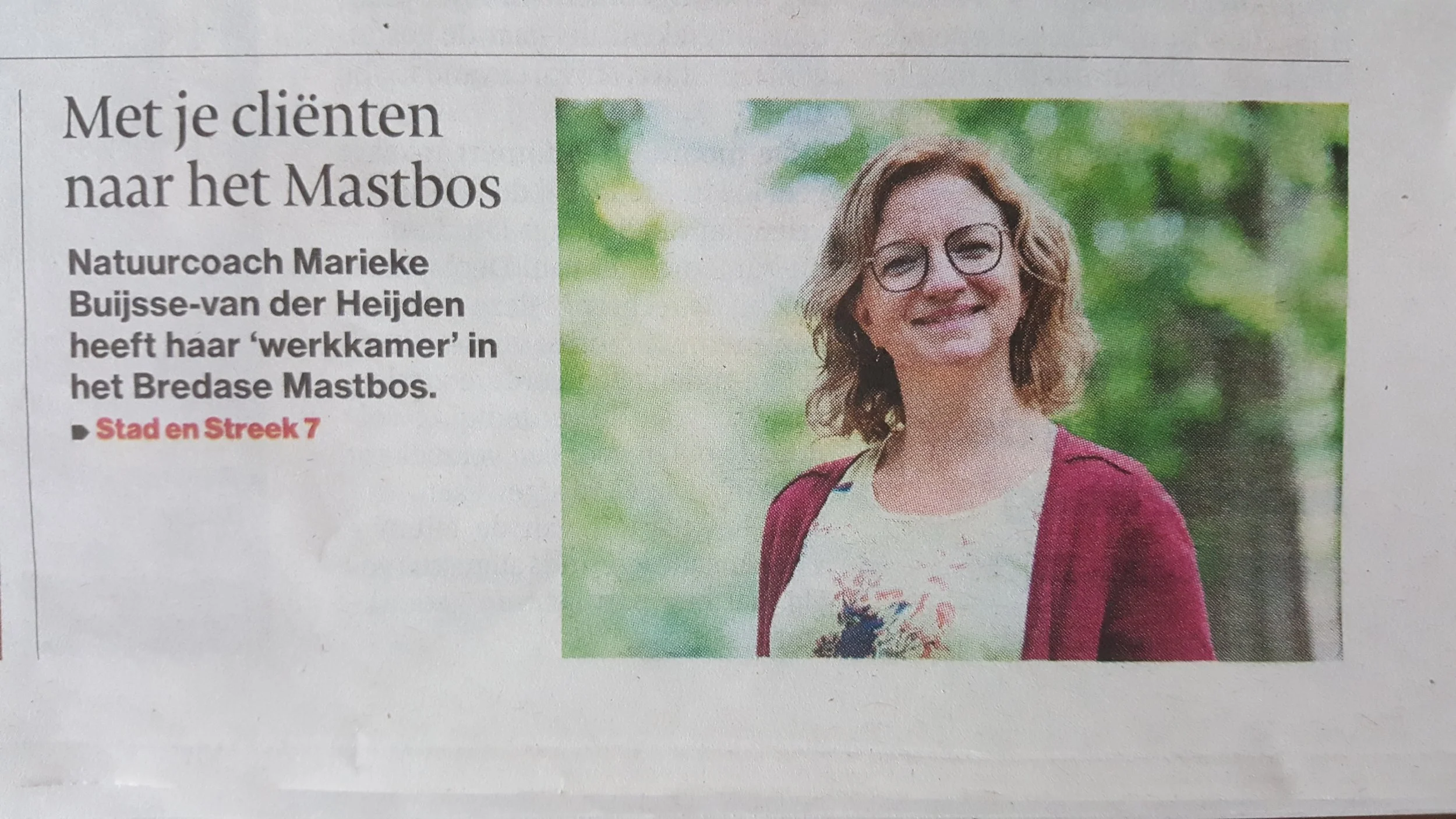 Door de bomen het bos zien