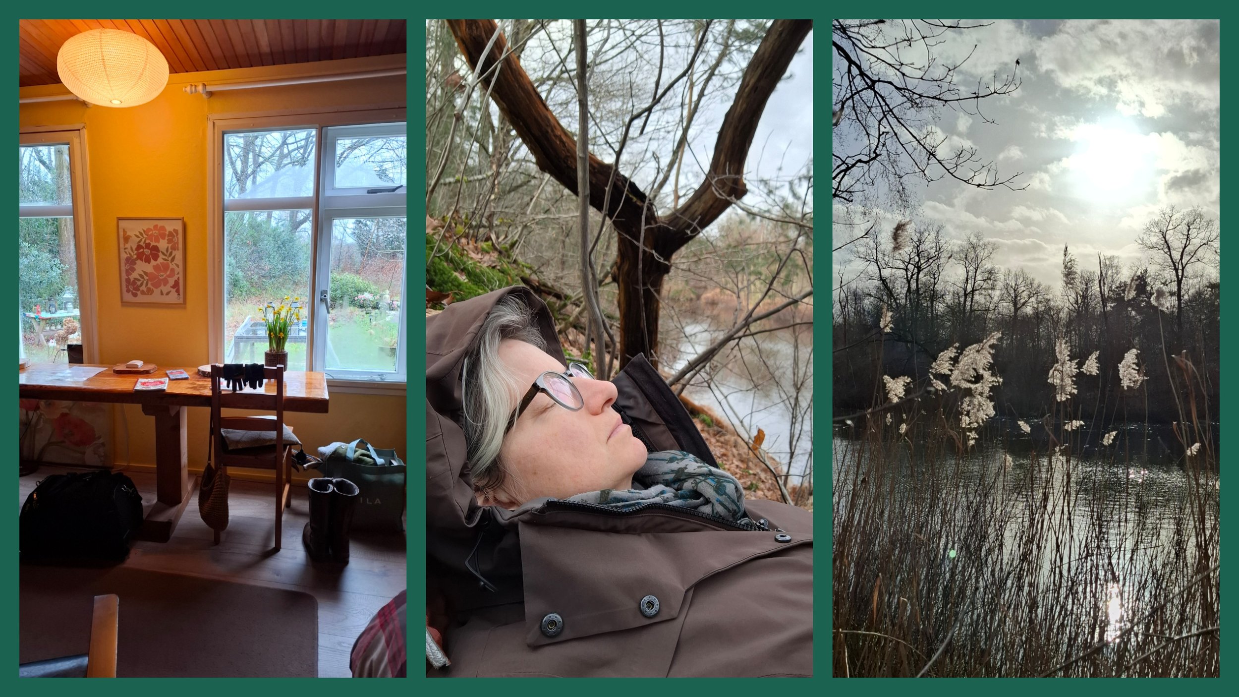 Een fotocollage van 3 foto's: een boshuisje, natuurcoach Marieke liggend in het bos en een zonnig vennetje