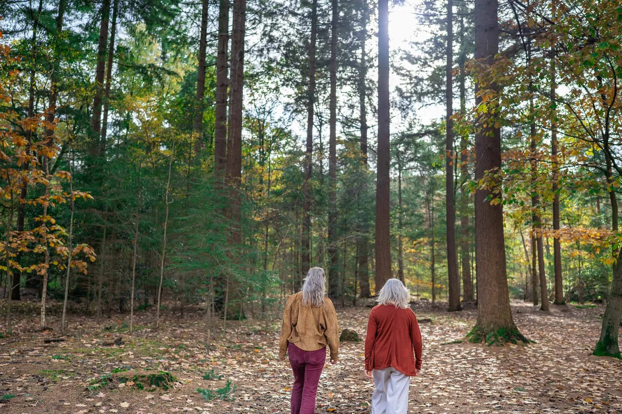 Marieke natuurcoach en klant wandelen in het bos