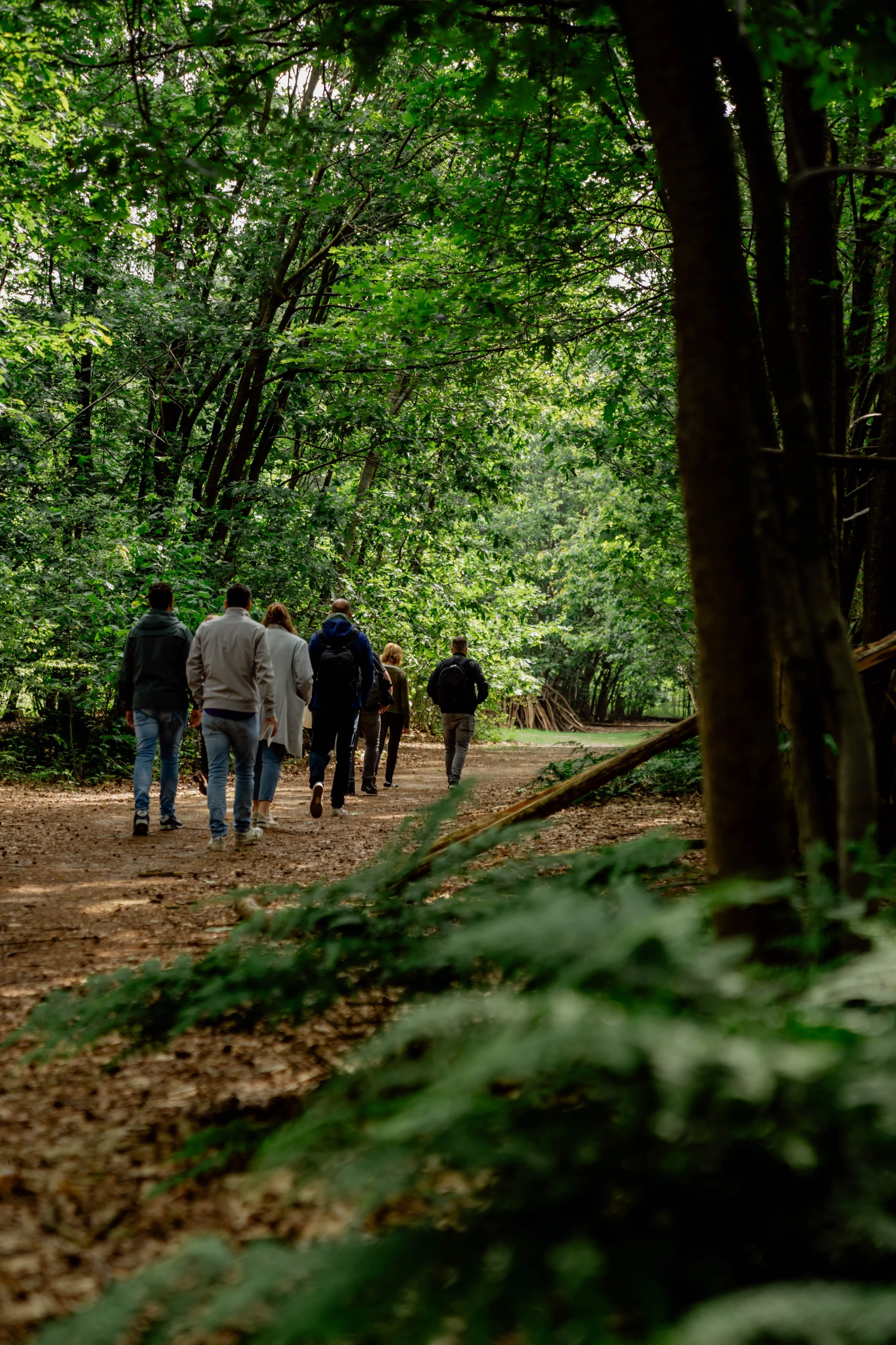Stiltewandelworkshop ‘Verbinden met de kracht van de natuur’ met Marieke natuurcoach