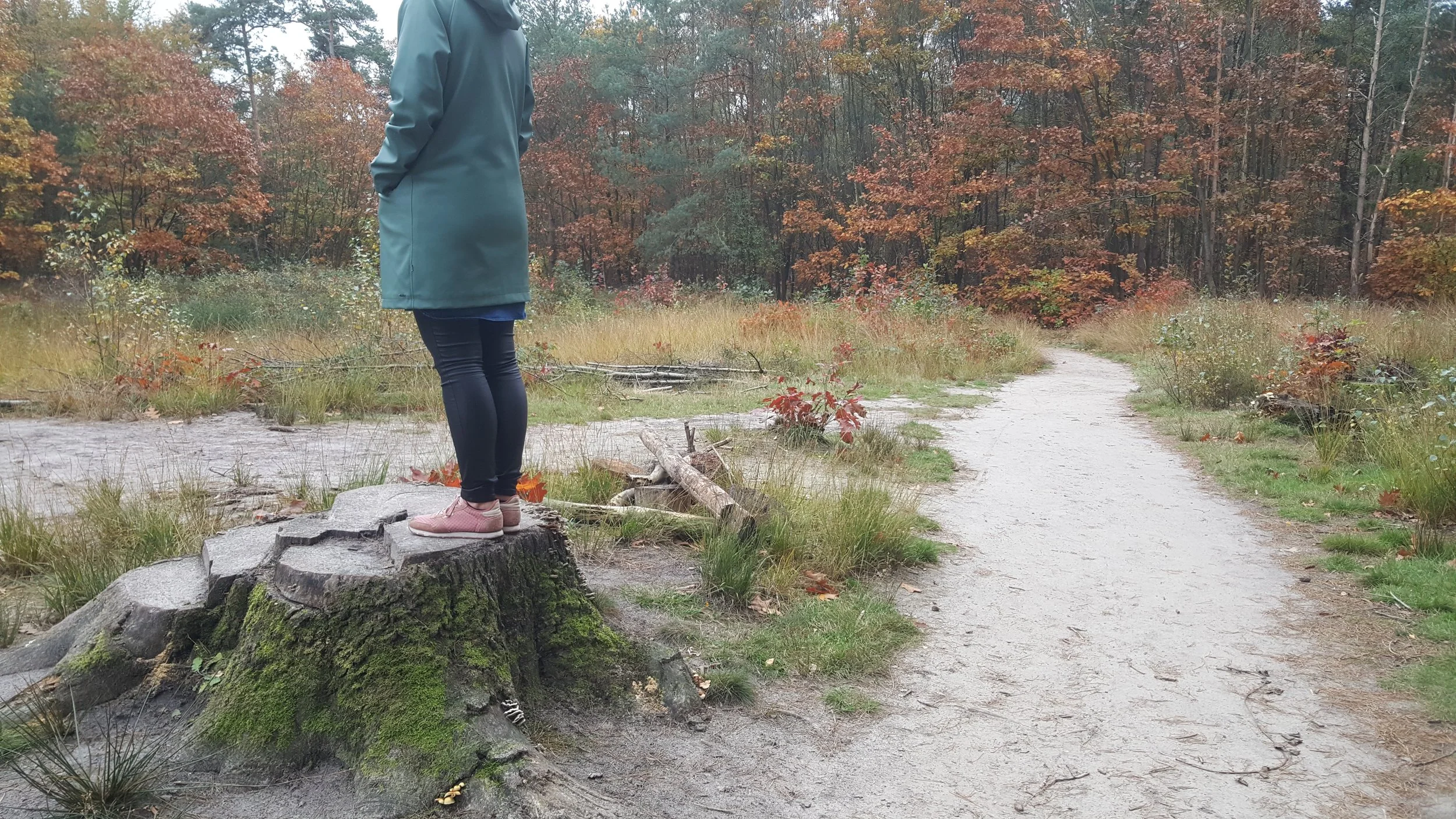 Vrouw in een groene jas staat op een omgehakte boomstam in een bos met herfstkleuren.