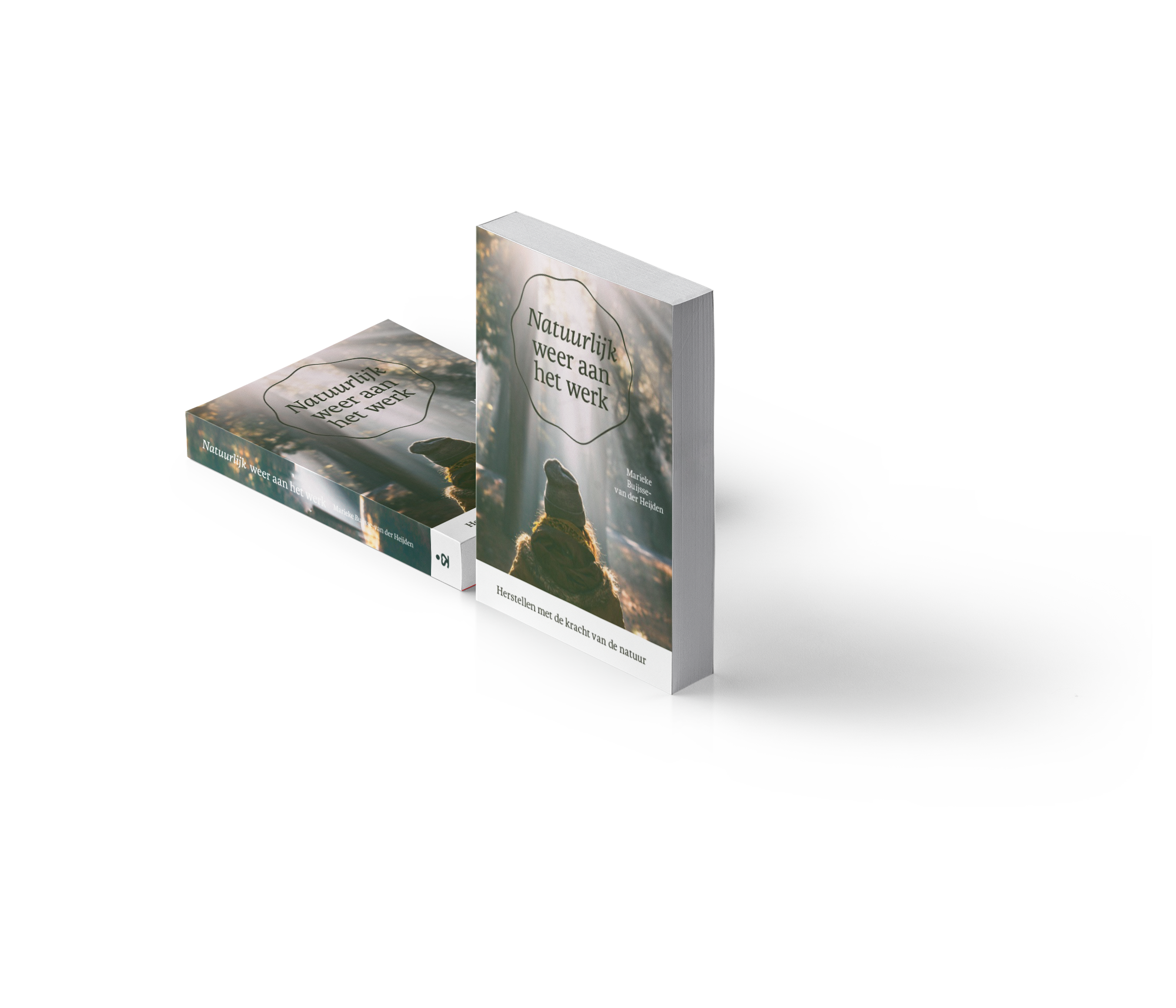 3d Cover van het boek van natuurcoach Marieke 'Natuurlijk weer aan het werk'